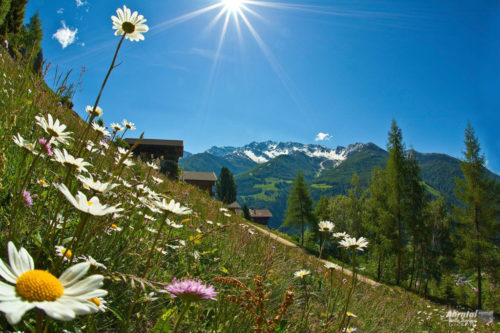 ahrntalersunnsatwegectouristinfo-ahrntal-gorfer216